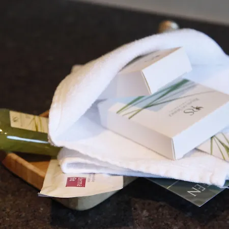 Boutique-hotel Remorino, A Private Selection 4* Minusio