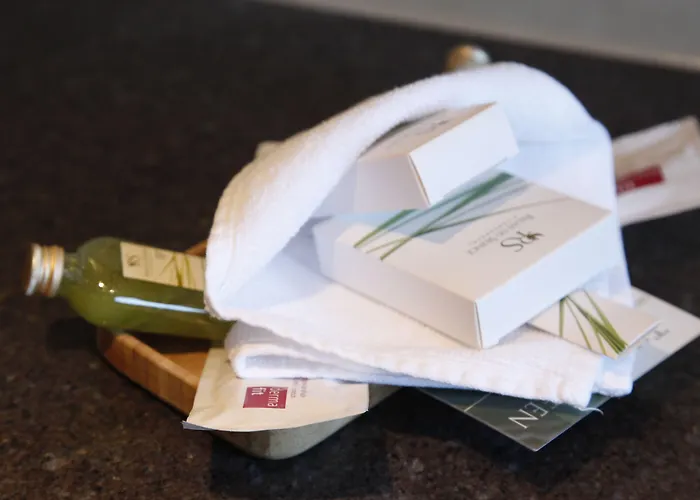 Boutique-hotel Remorino, A Private Selection 4* Minusio